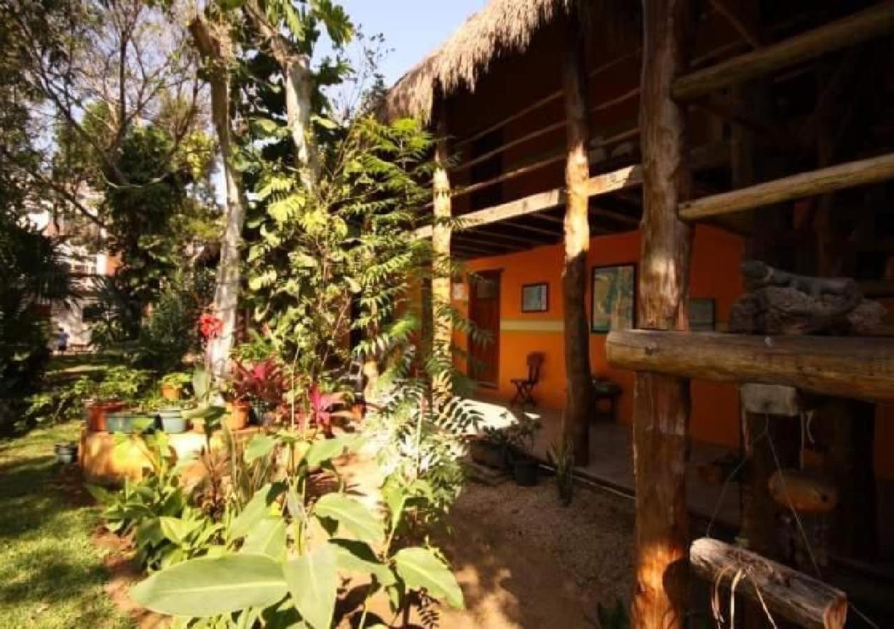 Esduma Iguanas Hotel Playa Del Carmen Exteriör bild